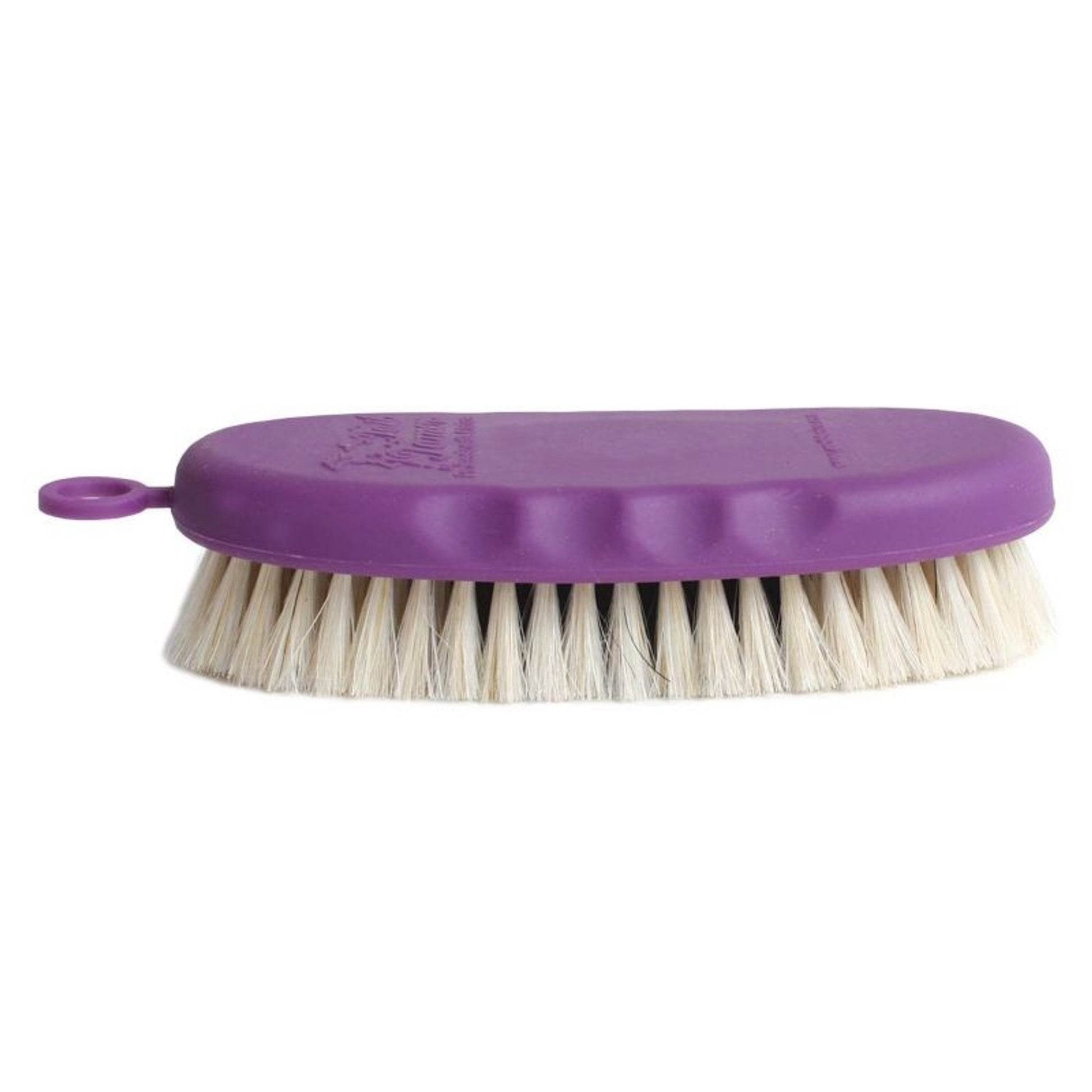 Tail Tamer Pig Bristle Brush Small Assorted