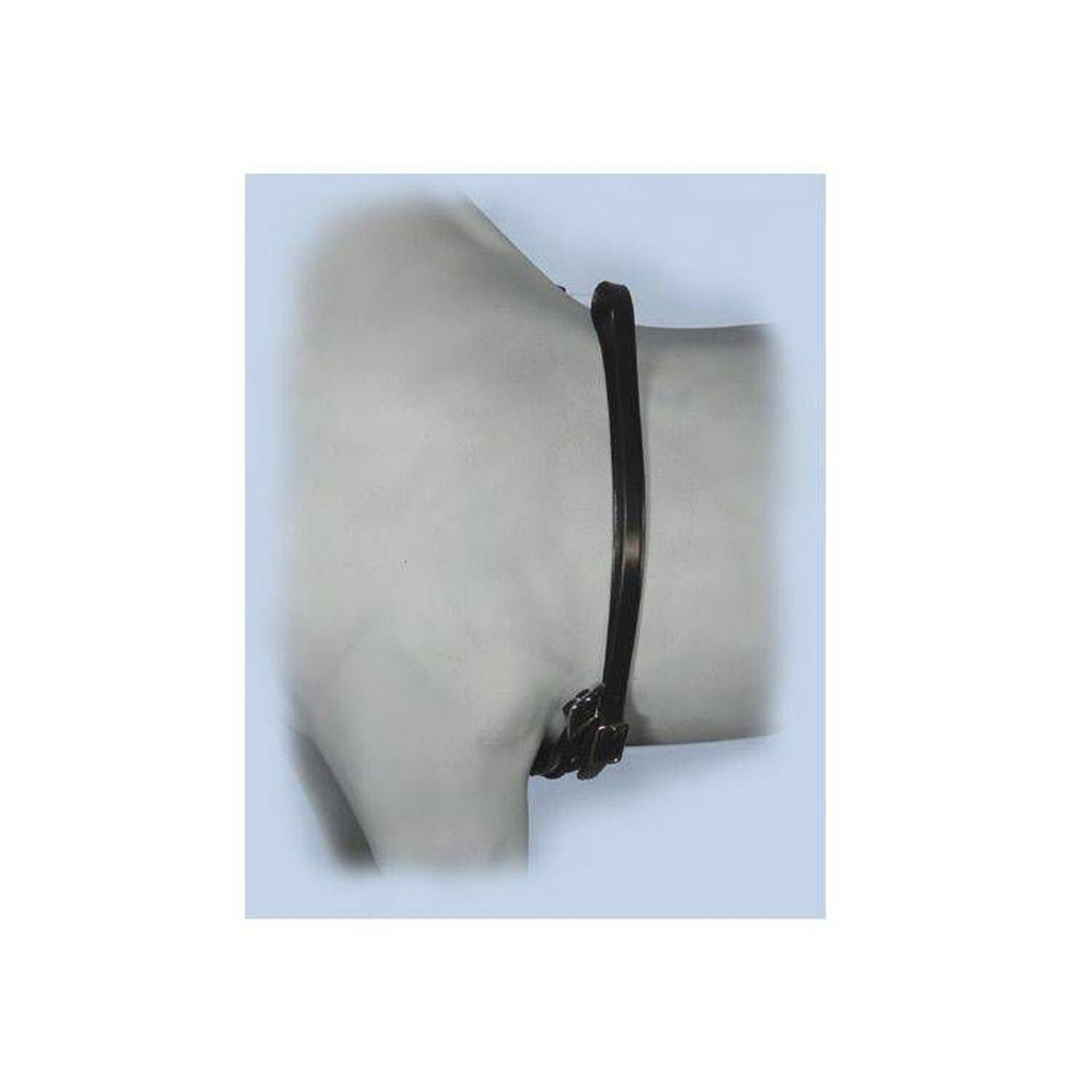 Axeville Black Leather Mini/Pony Girth 8" Brass