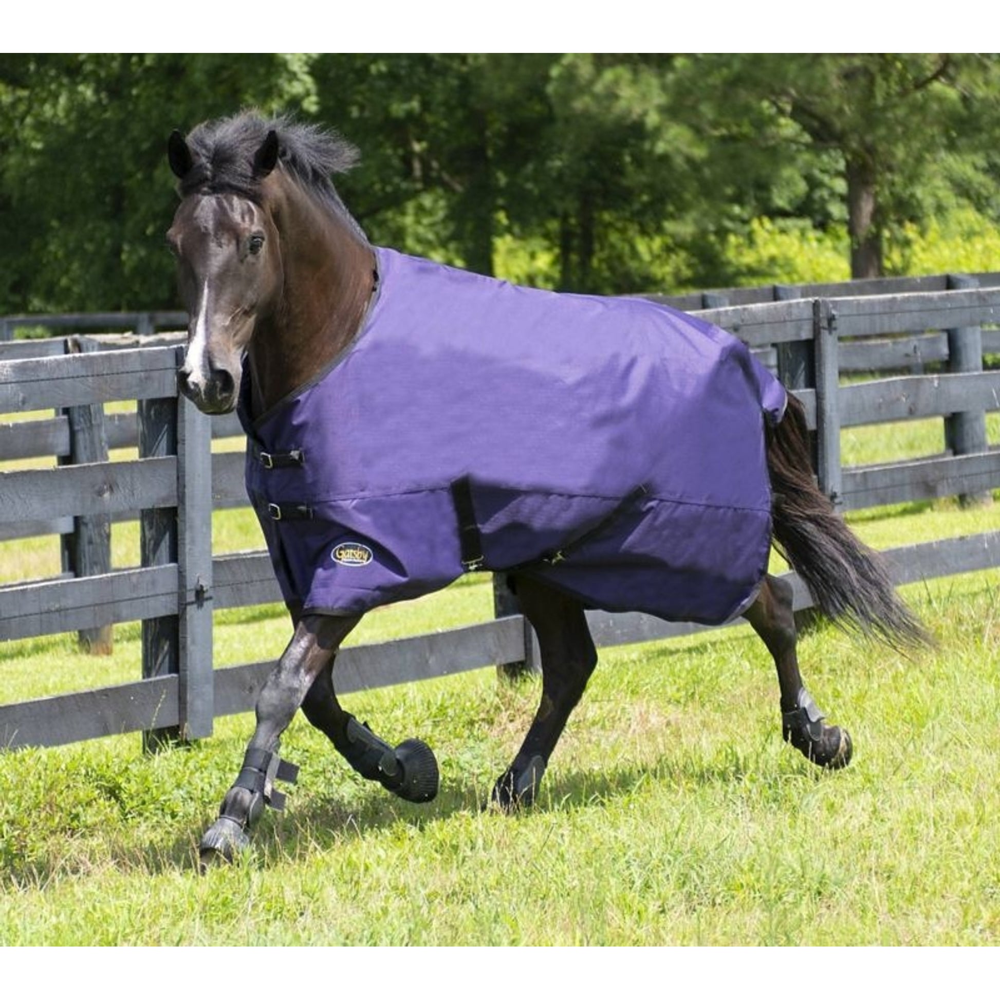 Gatsby Original Lite Waterproof Turnout Sheet 78"