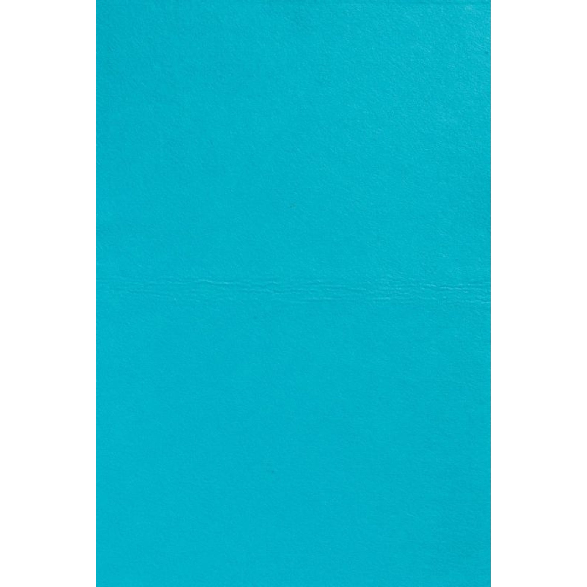Weaver Ultra-Absorbent Chamois