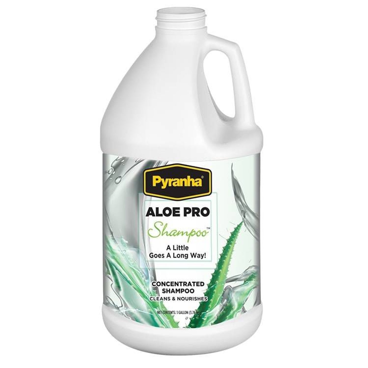 TH1627892_P.jpg