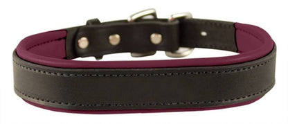 Perris Padded Leather Dog Collar