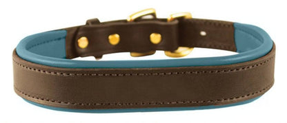 Perris Padded Leather Dog Collar