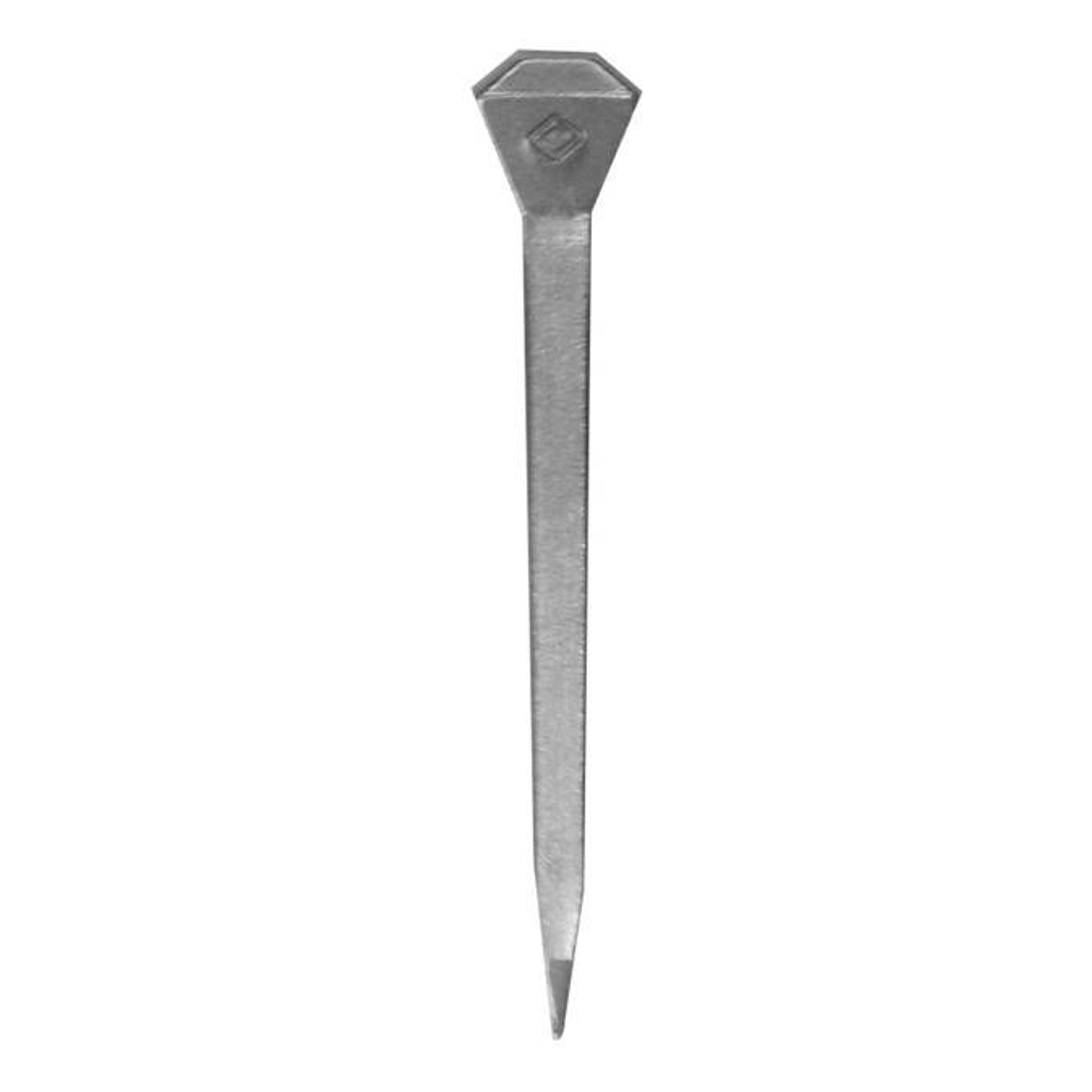 Diamond Regular Horseshoe Nails 6"