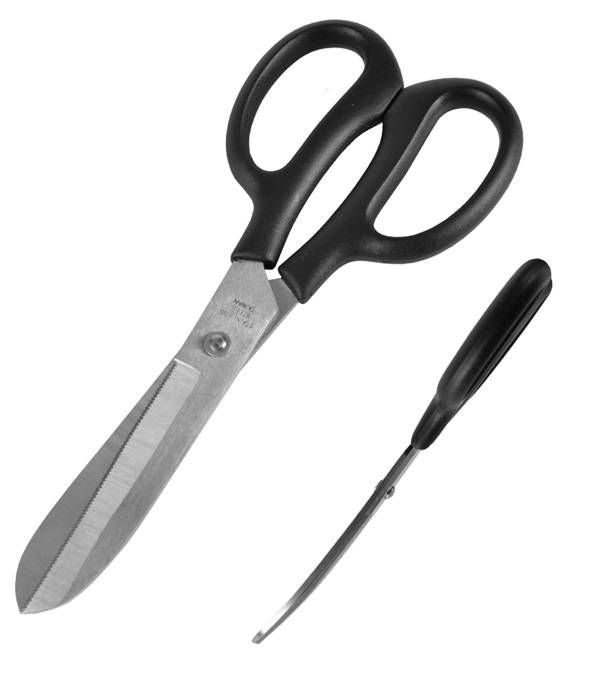Jacks Fetlock Shears 8 1/2"