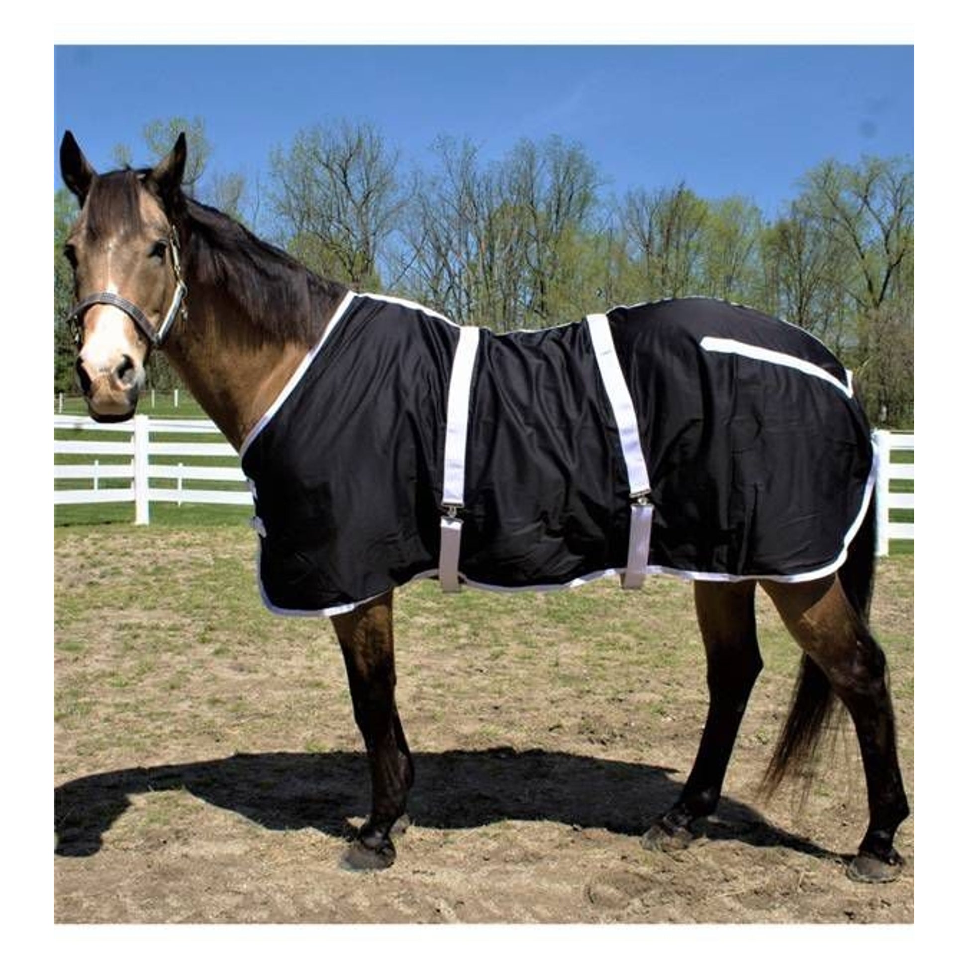 Jacks Day/Nite Sheet 74 Black/White