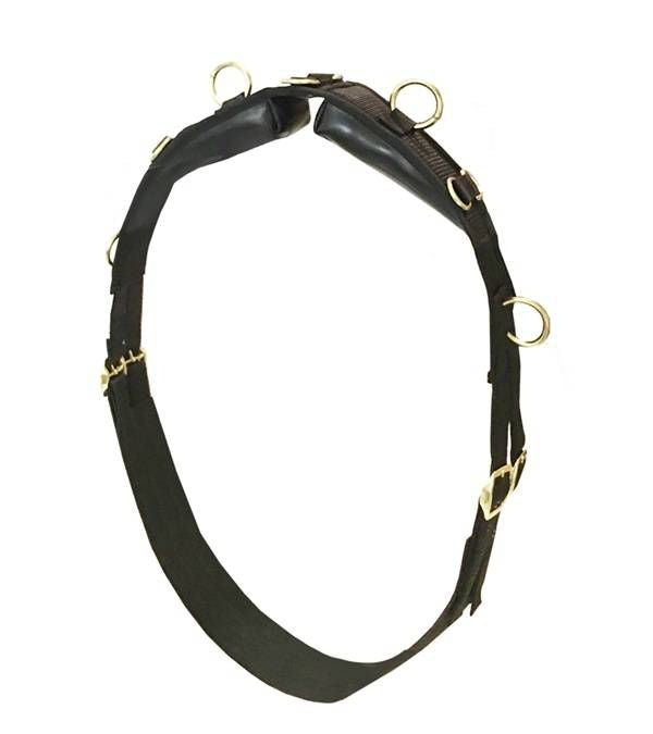 Jacks Training Surcingle with Leather Back Pad Adj