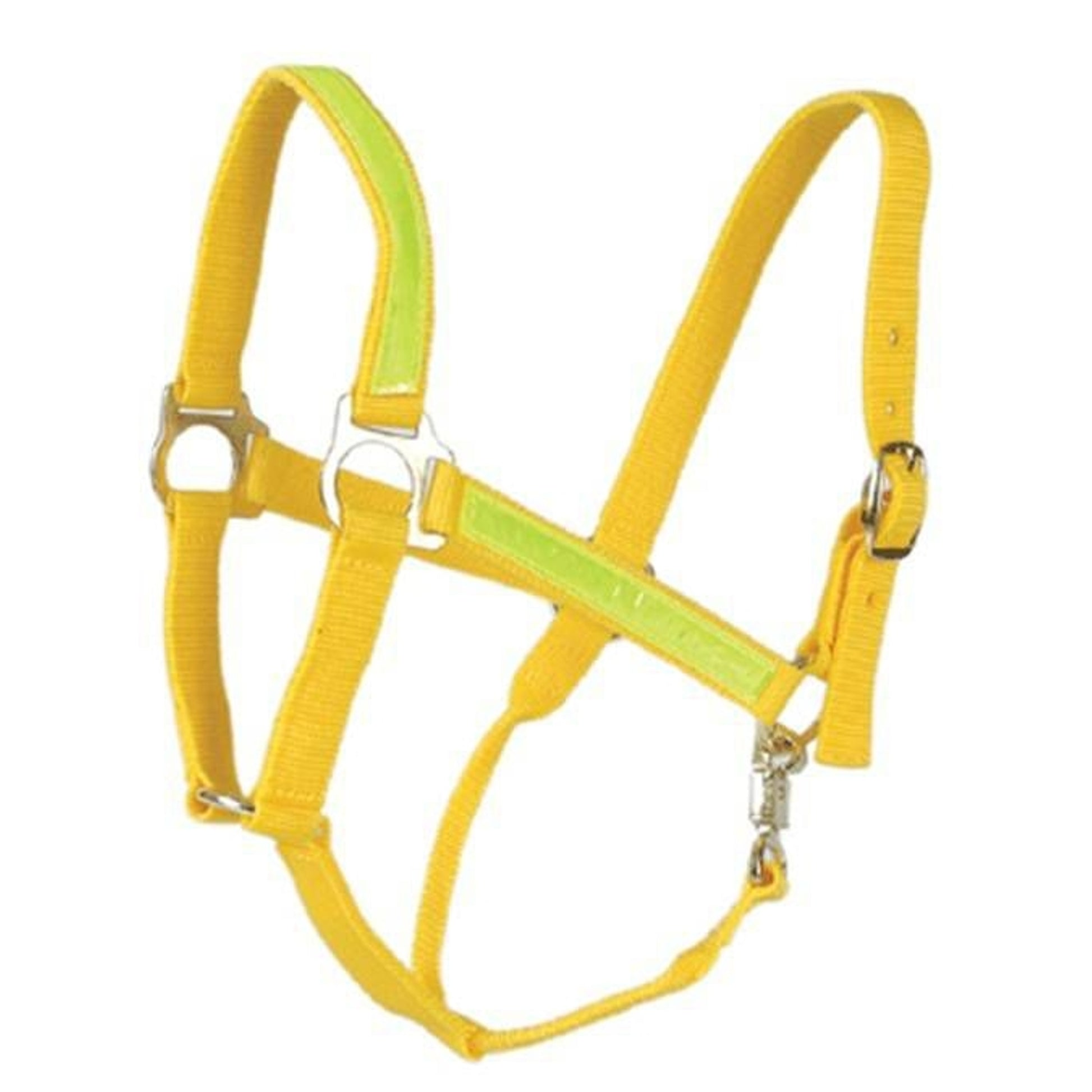 Jacks Reflective Halter Horse (800-1100 lbs) Yello