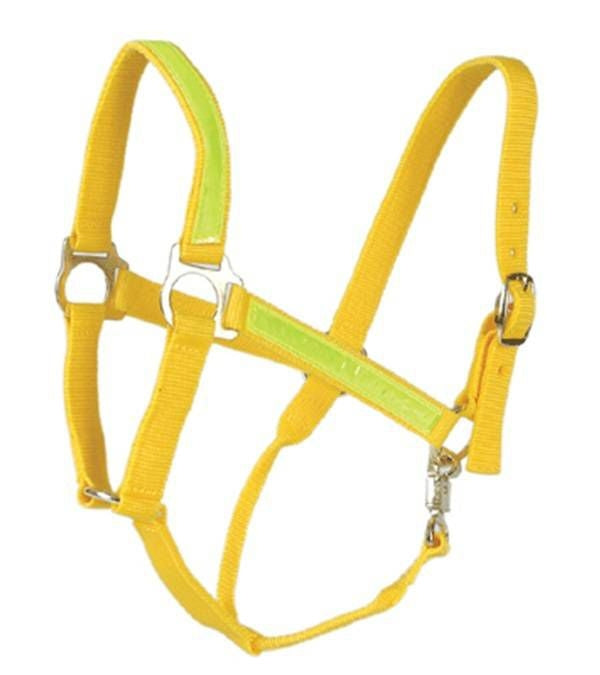 Jacks Reflective Halter Horse (800-1100 lbs) Yello