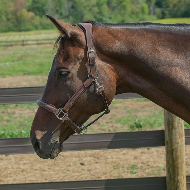 HDR Stress Free Fancy Stitch Halter