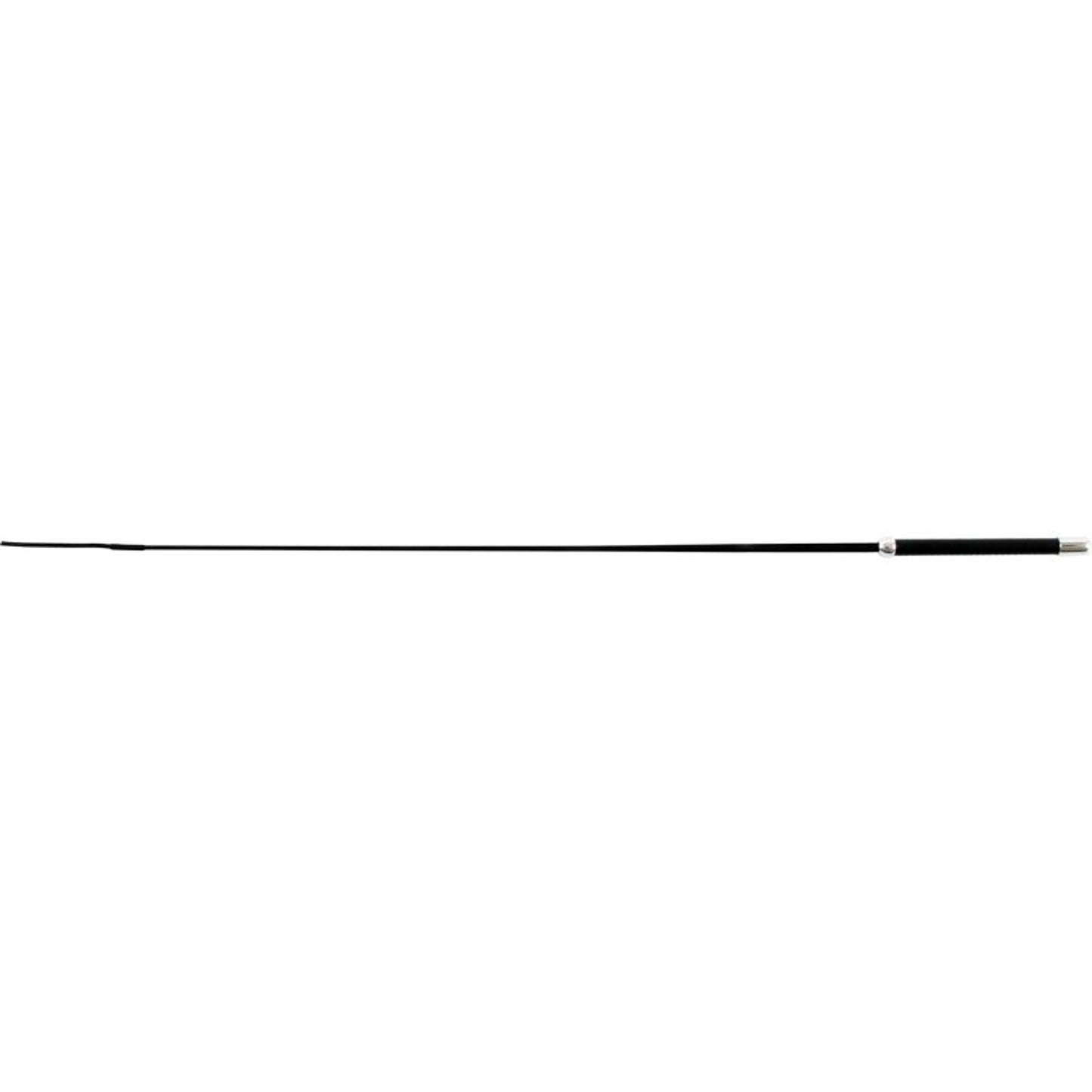 TH1661859_16884.jpg