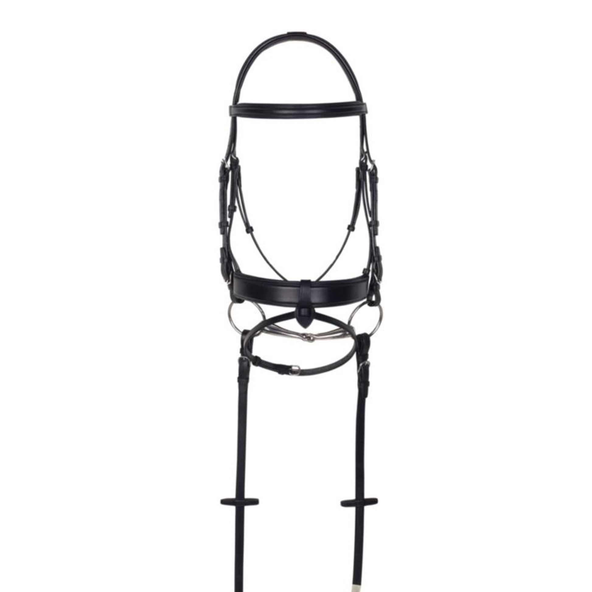 Aramas Square Mild Raised Wide Dressage Bridle wit