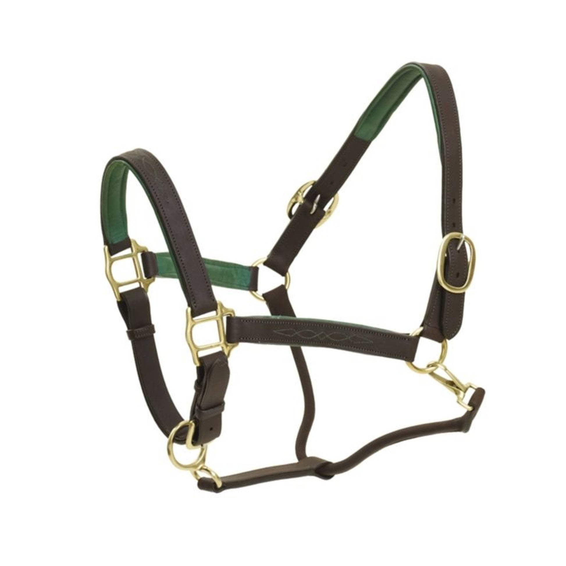 Ovation Richtan Luxury Padded Halter Horse Black/B