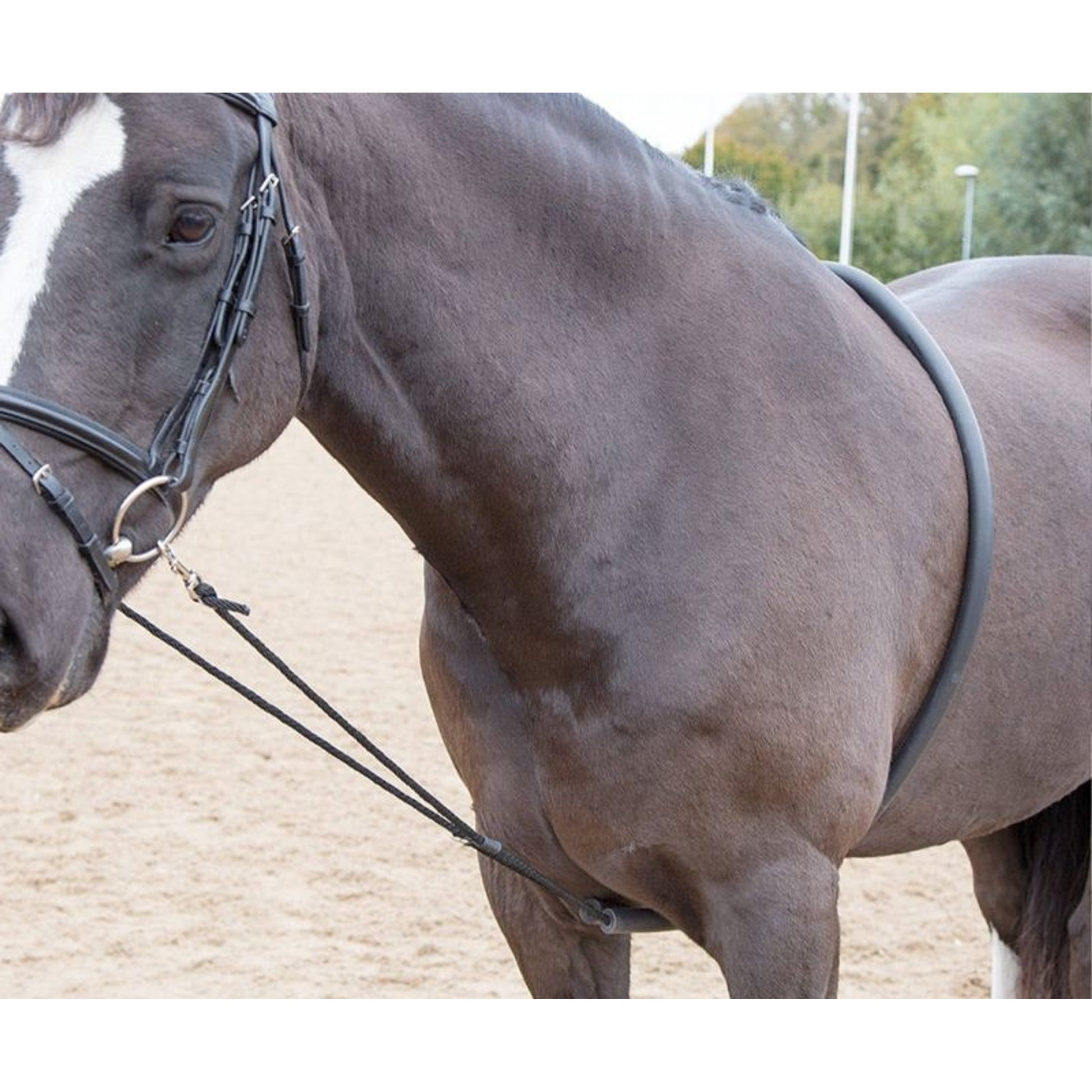 Shires Soft Lunging Aid One Size Black