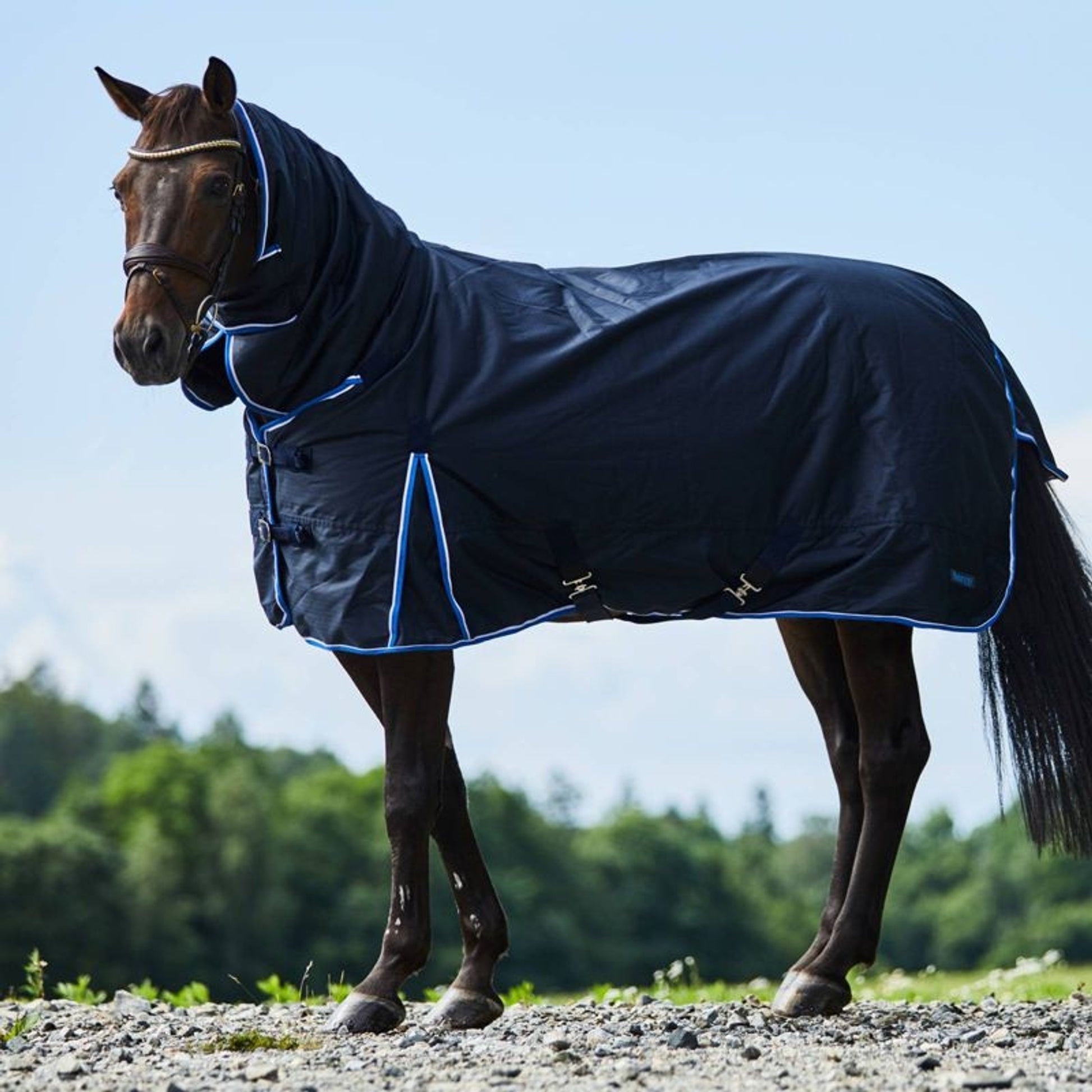 Horze Glasgow Heavy Weight Combo Turnout Blanket 4