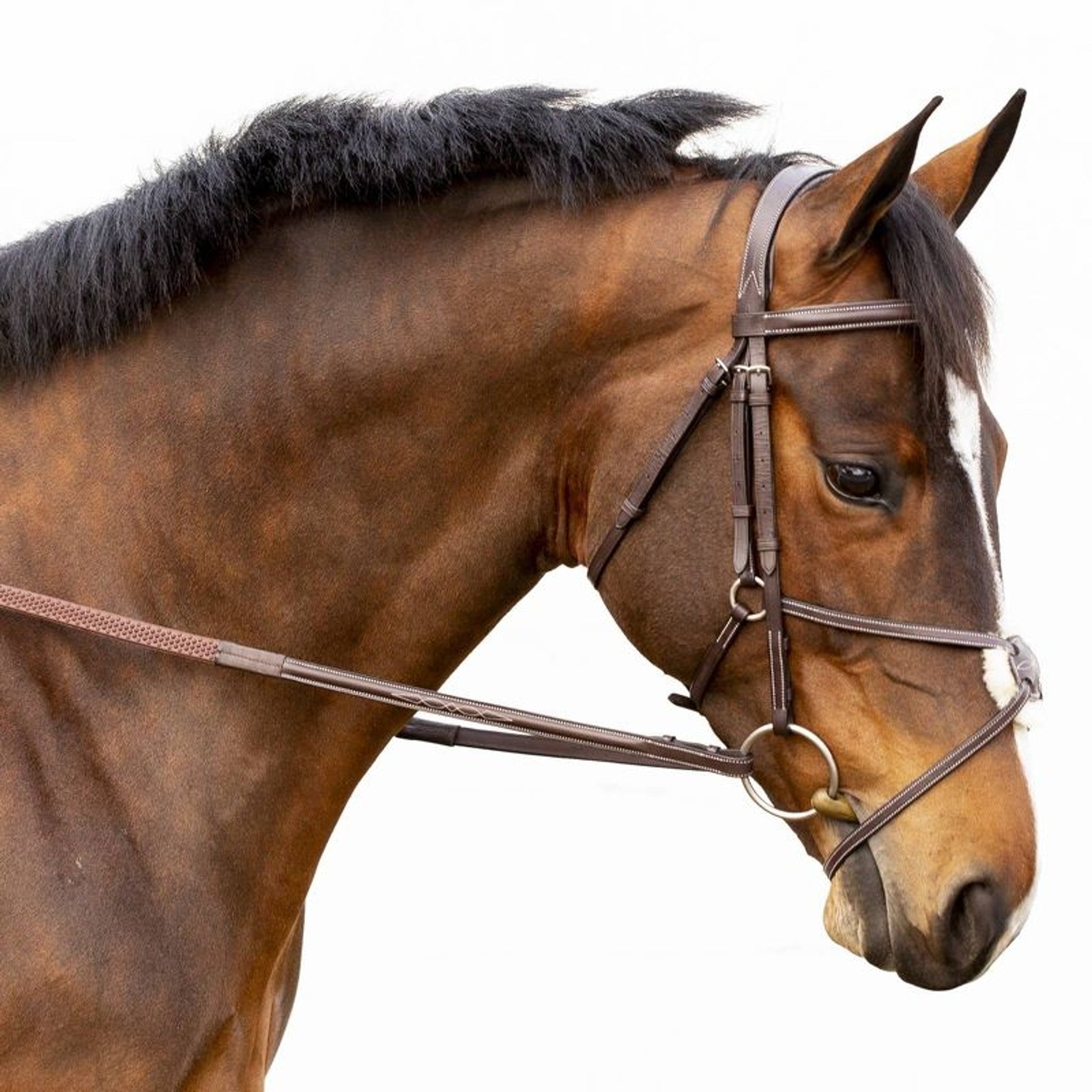 Equinavia Valkyrie Fancy Stitched Figure 8 Bridle