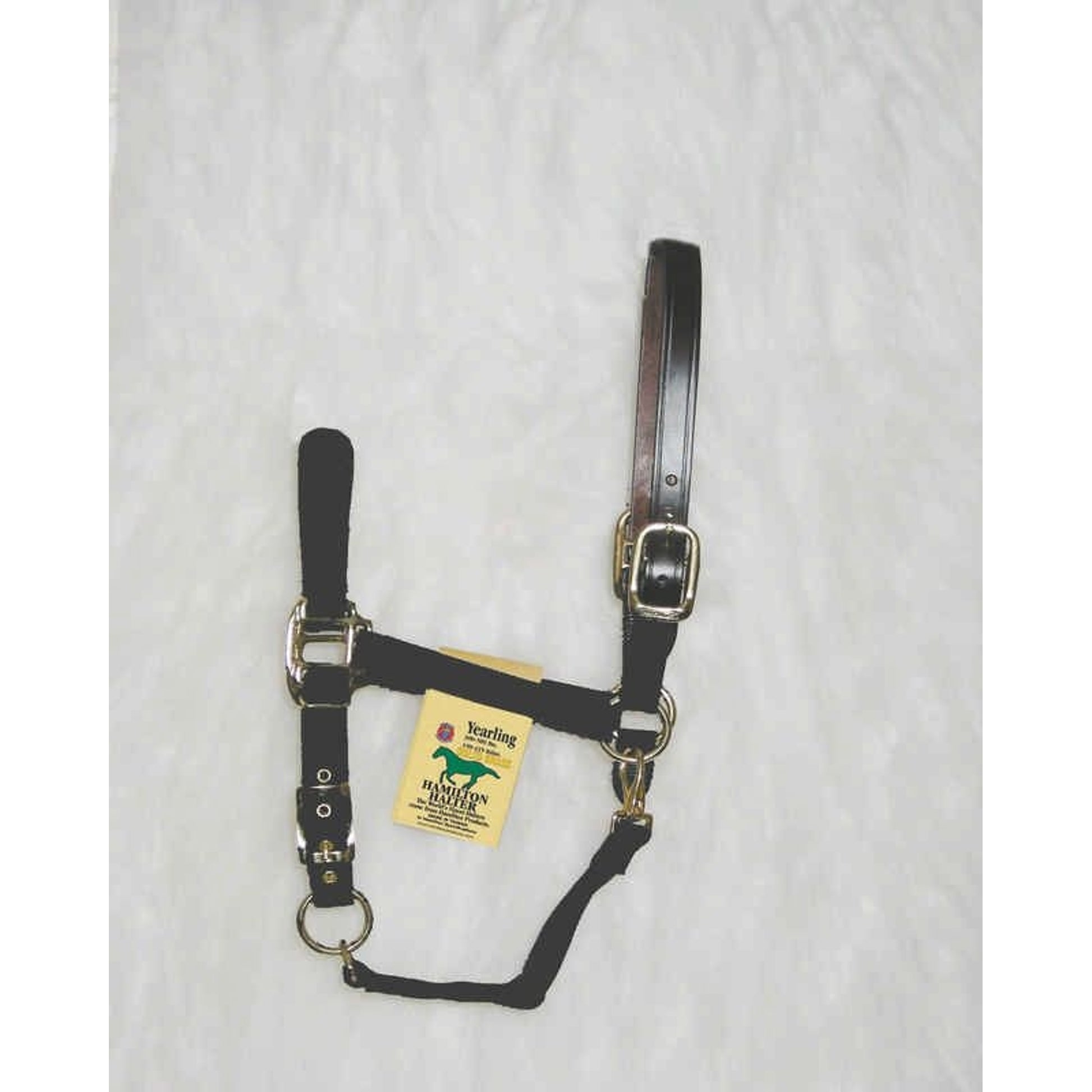 Adjustable Halter with Leather Crown Yearling Blk