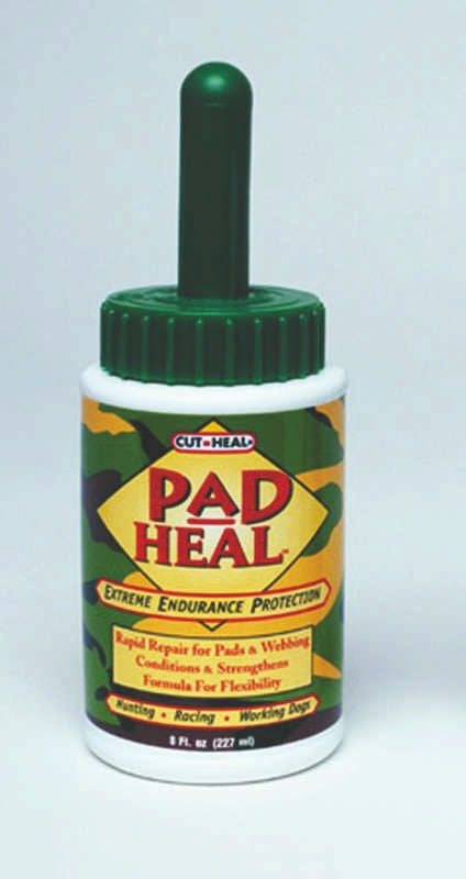 Cut Heal Pad Heal