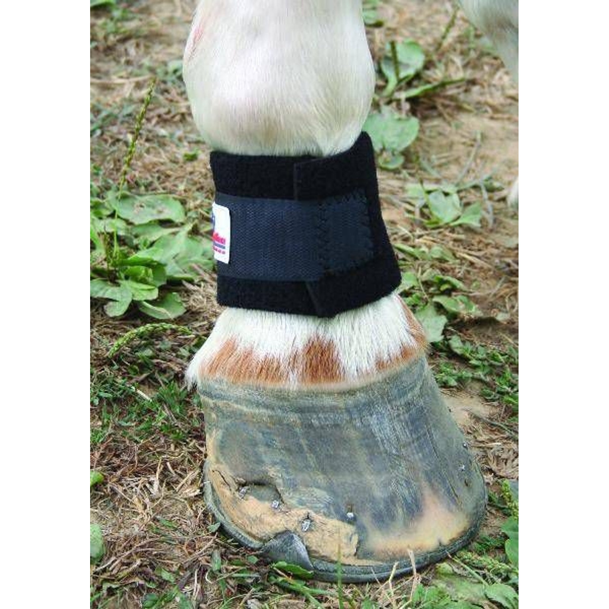 Nunn Finer Pastern Band Blk