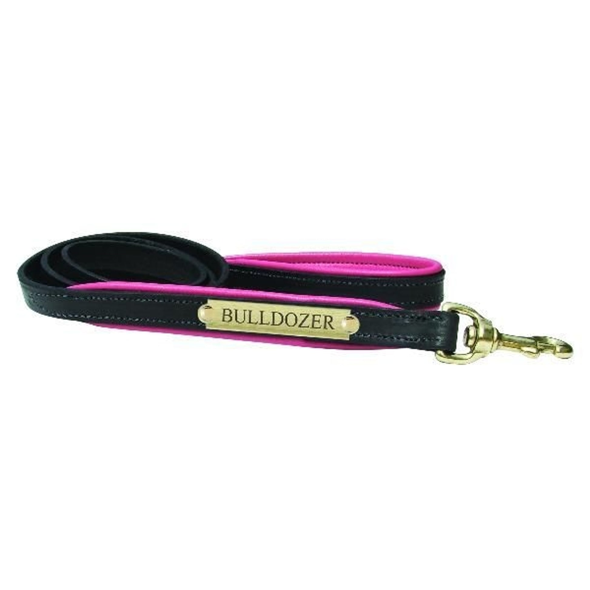 Perris Padded Leather Dog Leash