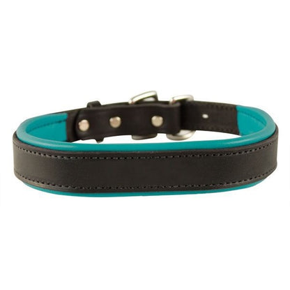 Perris Padded Leather Dog Collar