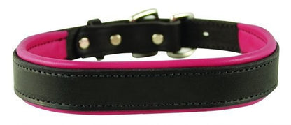 Perris Padded Leather Dog Collar