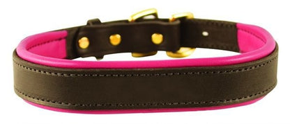 Perris Padded Leather Dog Collar