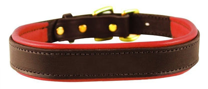 Perris Padded Leather Dog Collar
