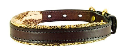 Perris Padded Leather Dog Collar