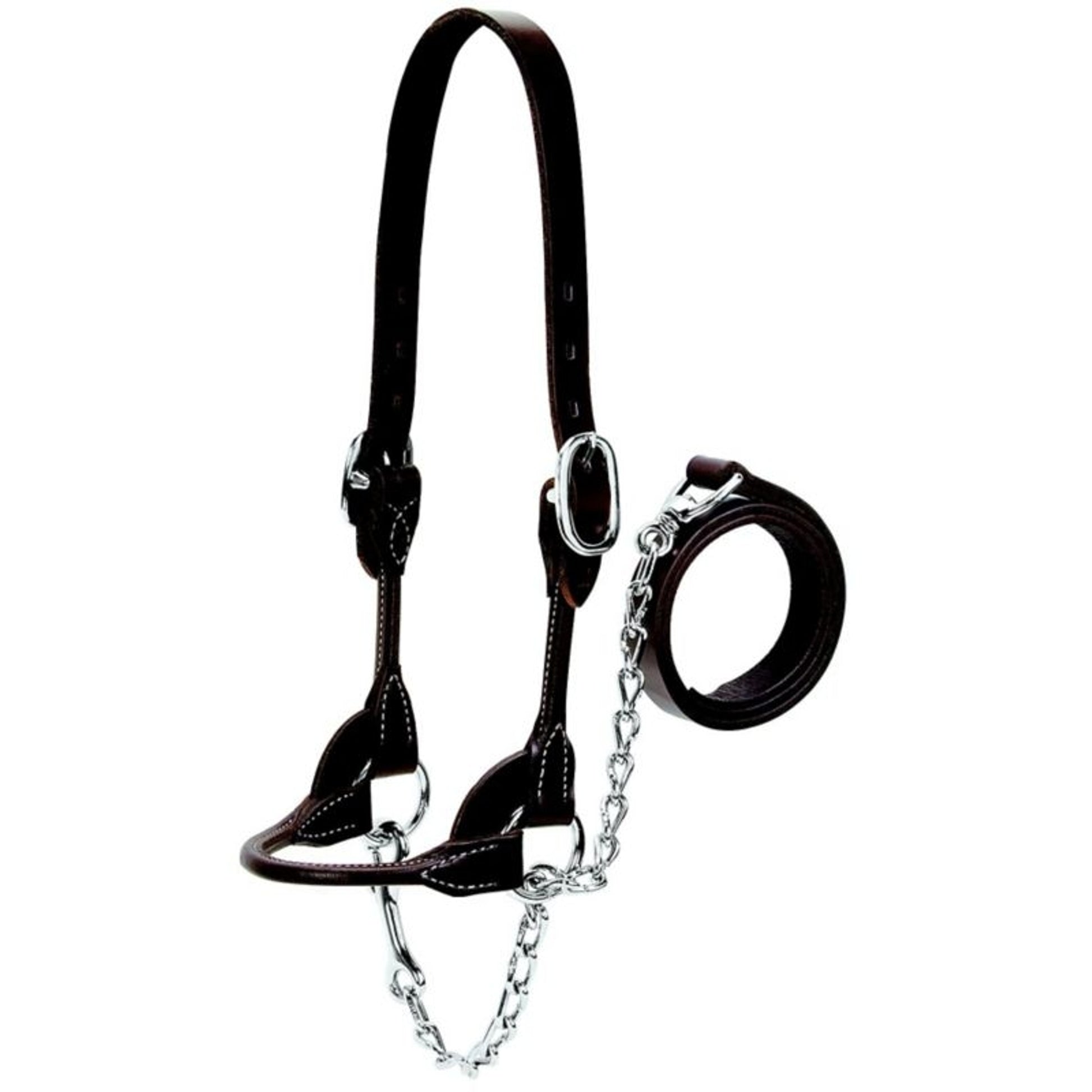 Weaver Leather Cattle Rounded Show Halter XL Brown