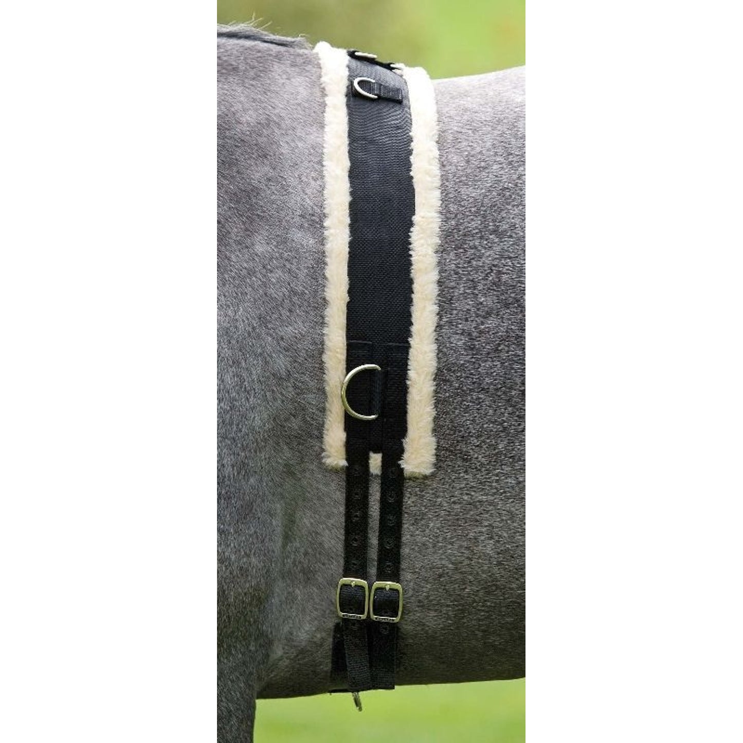 TH883653.jpg