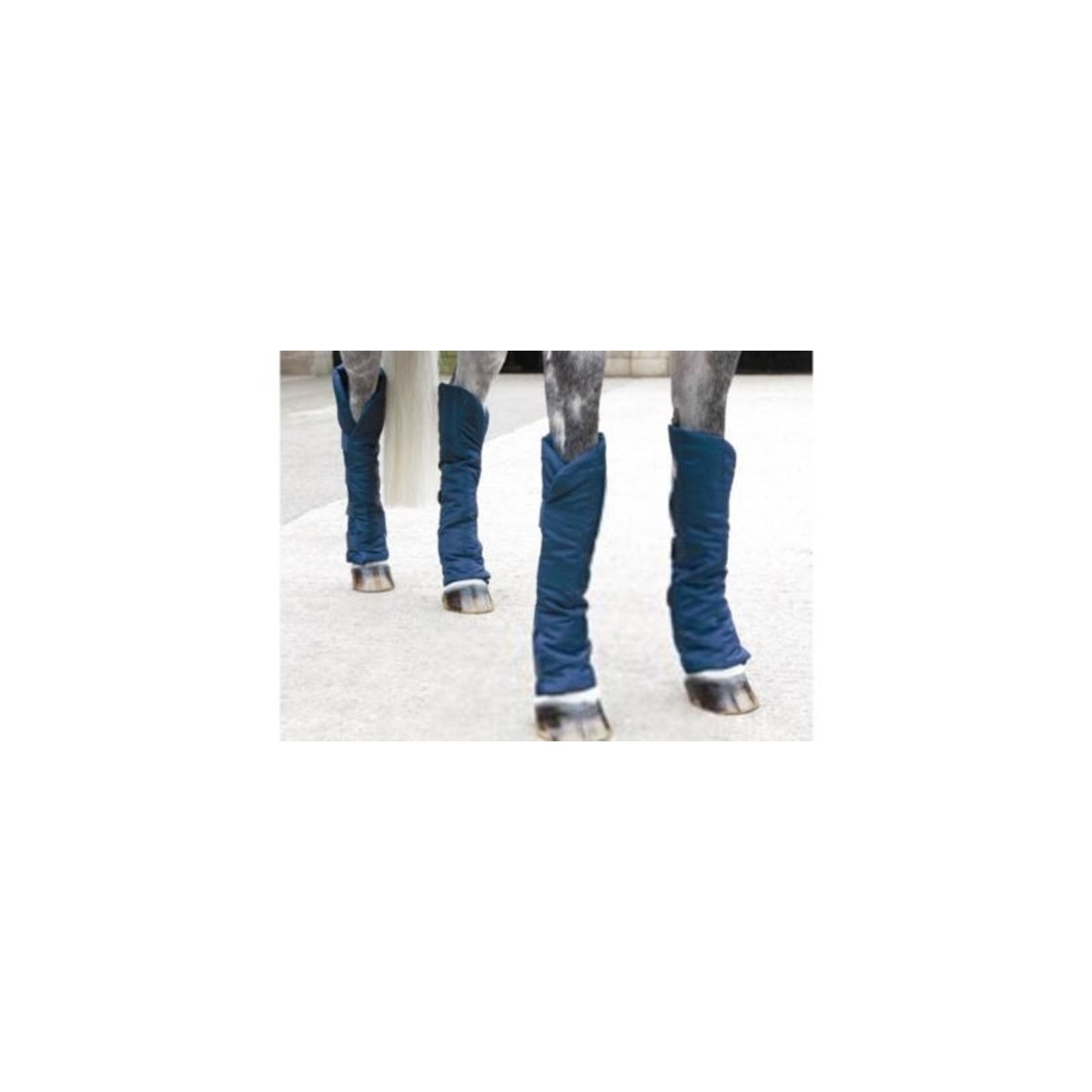 TH895541_P.jpg