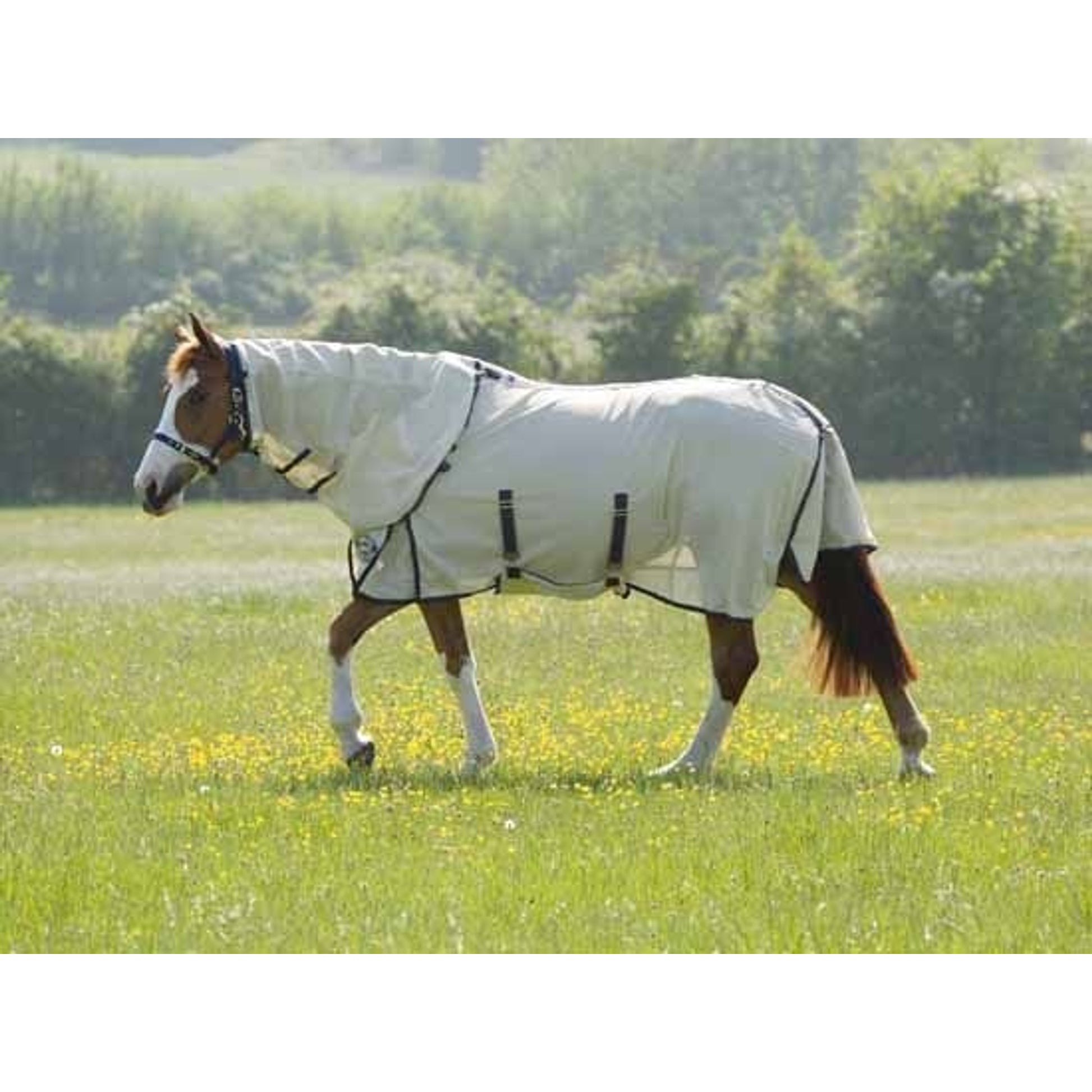 Maxi-Flow Fly Sheet 69 White Blue/Green Stripe