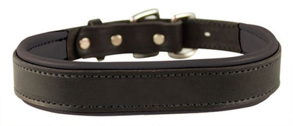 Perris Padded Leather Dog Collar