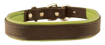 Perris Padded Leather Dog Collar