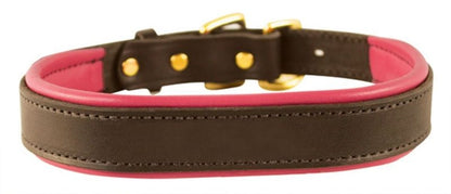 Perris Padded Leather Dog Collar