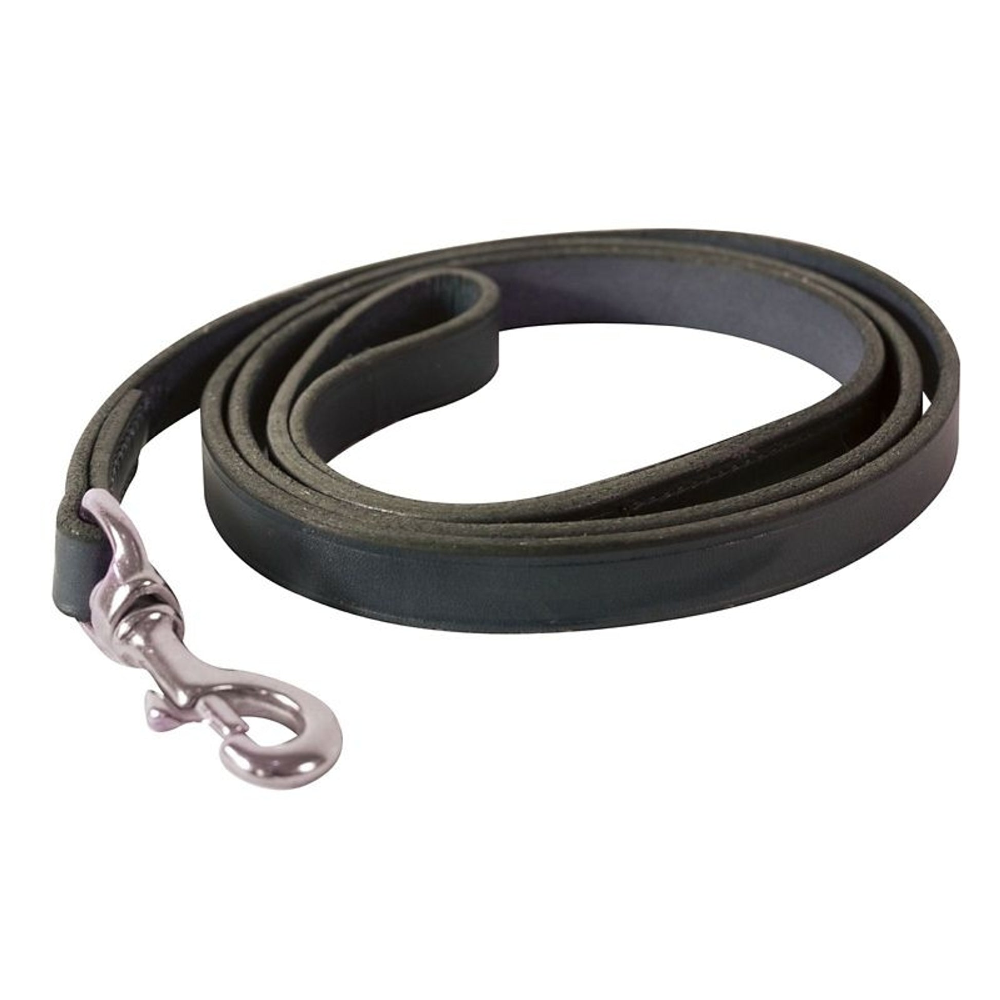 Perris Plain Leather Dog Leash X-Small Black