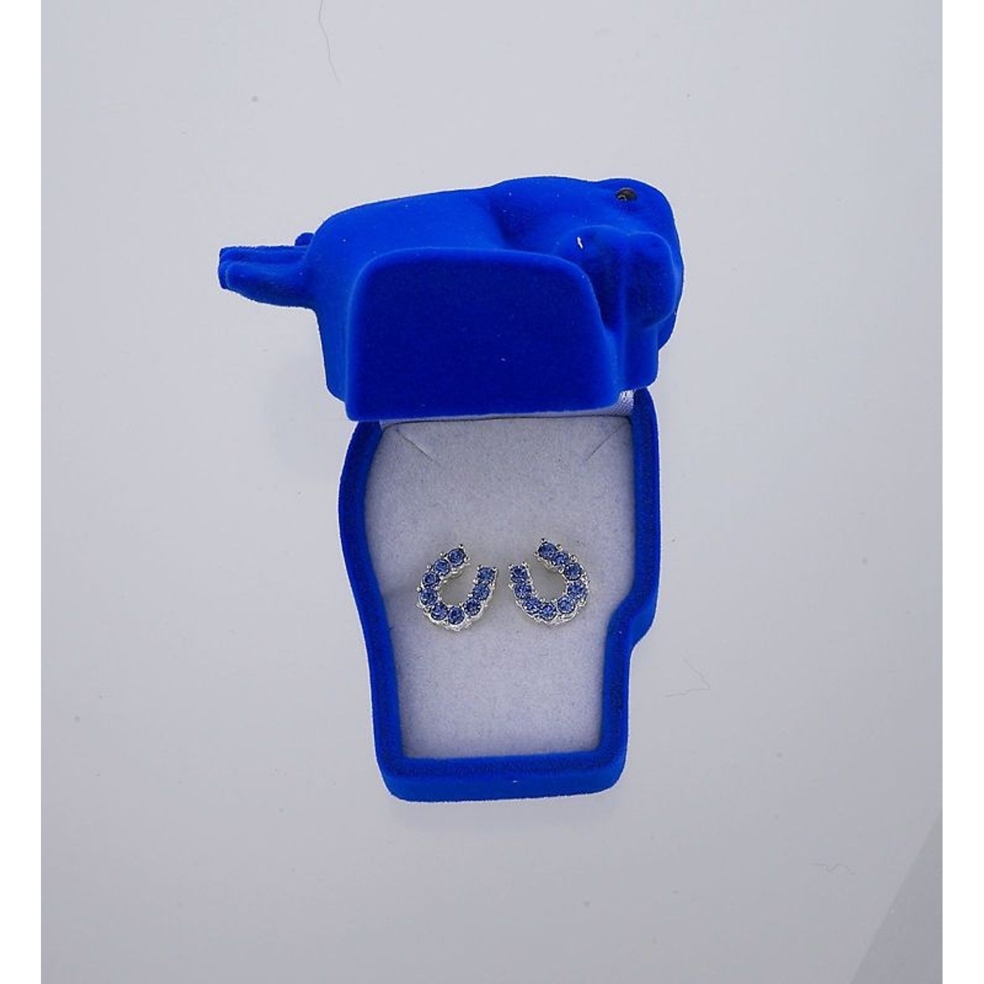 Sparkly Horsehoe Earrings Blue