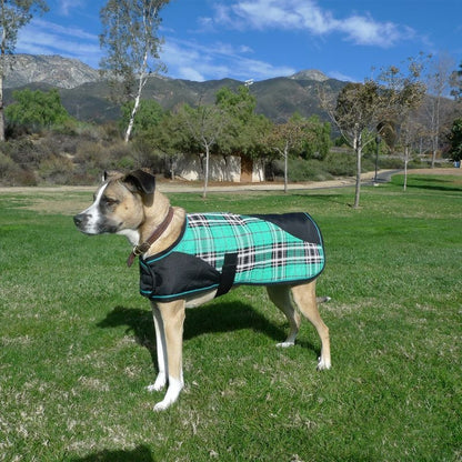 Kensington Plaid Dog Coat