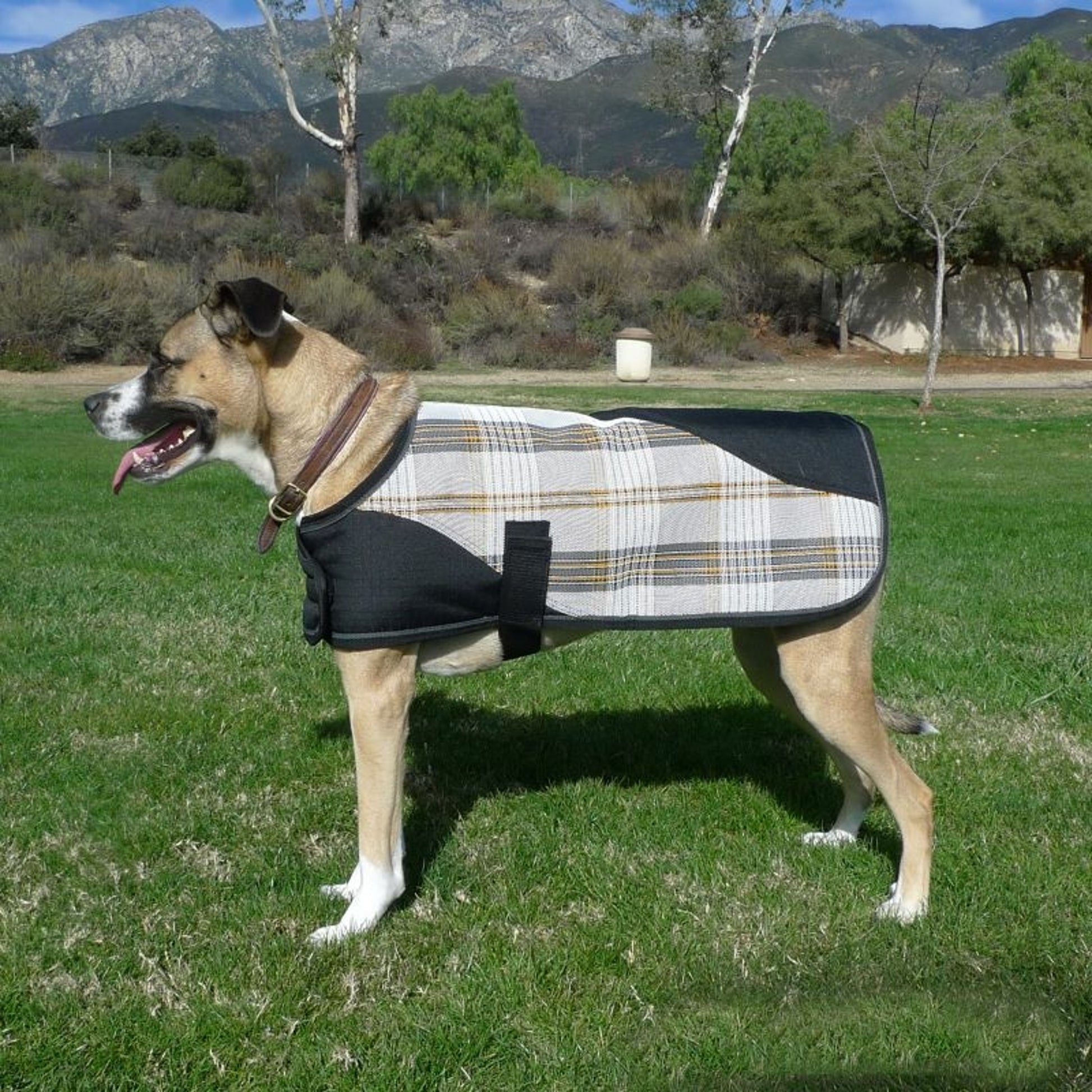 Kensington Plaid Dog Coat