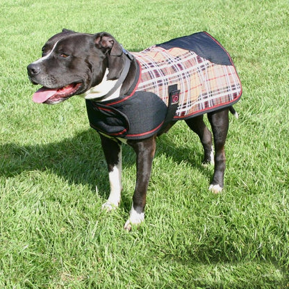 Kensington Plaid Dog Coat