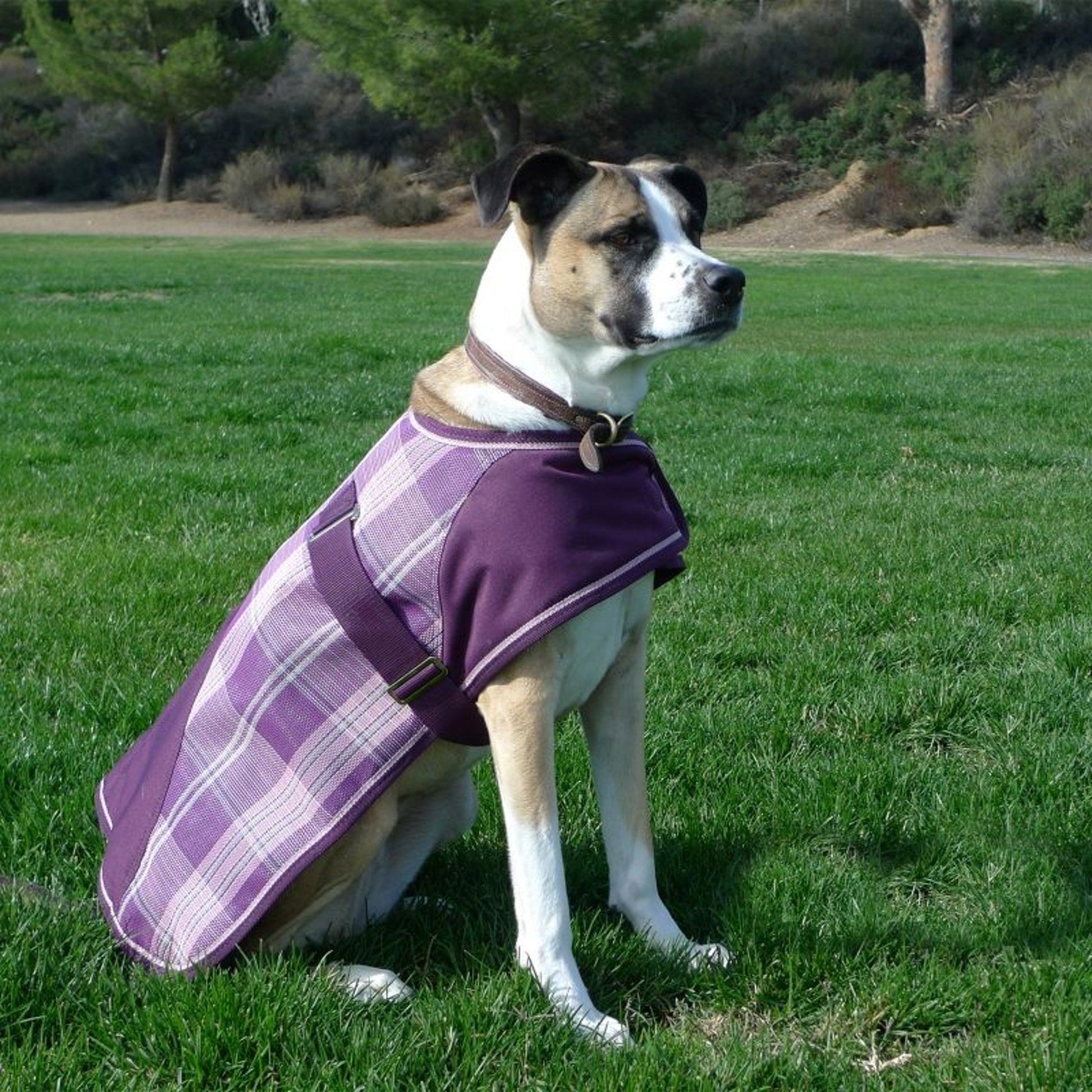 Kensington Plaid Dog Coat