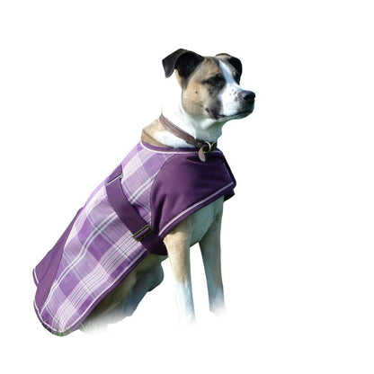 Kensington Plaid Dog Coat