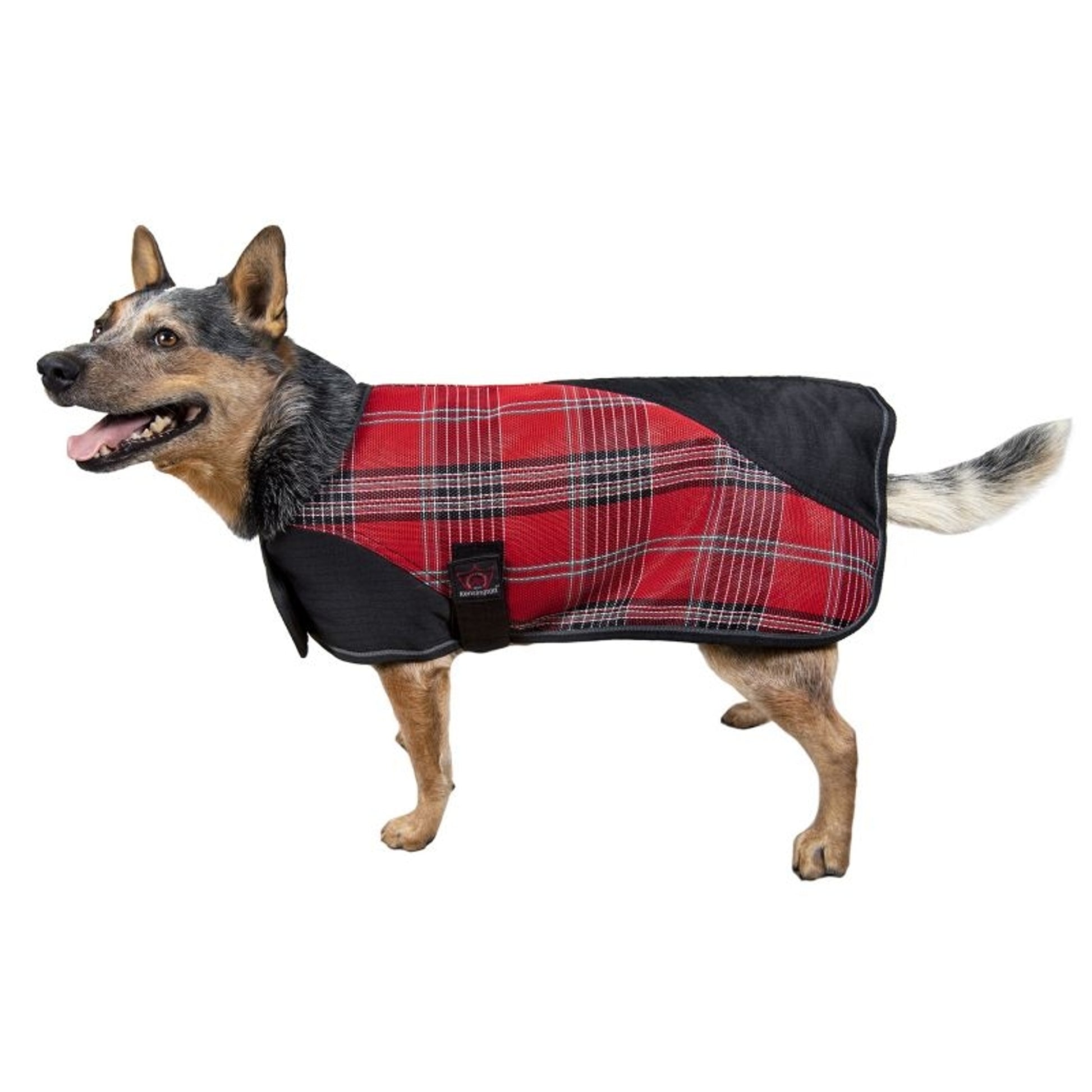Kensington Plaid Dog Coat