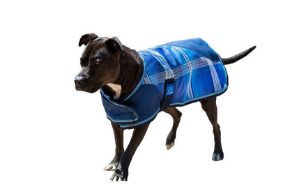 Kensington Plaid Dog Coat