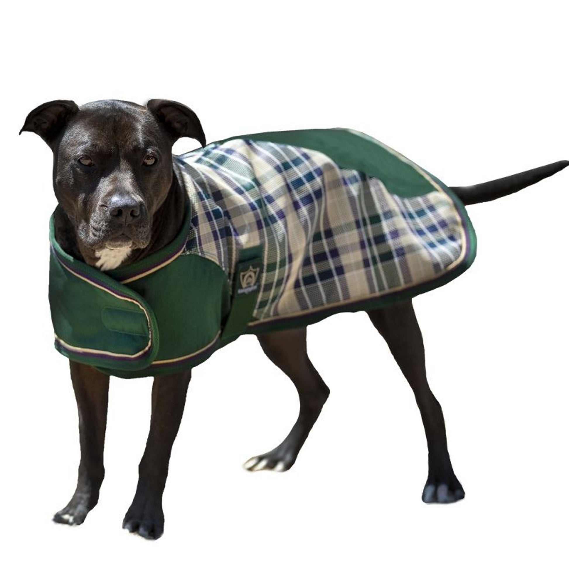 Kensington Plaid Dog Coat