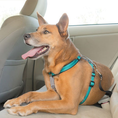 PetSafe 3in1 Dog Harness