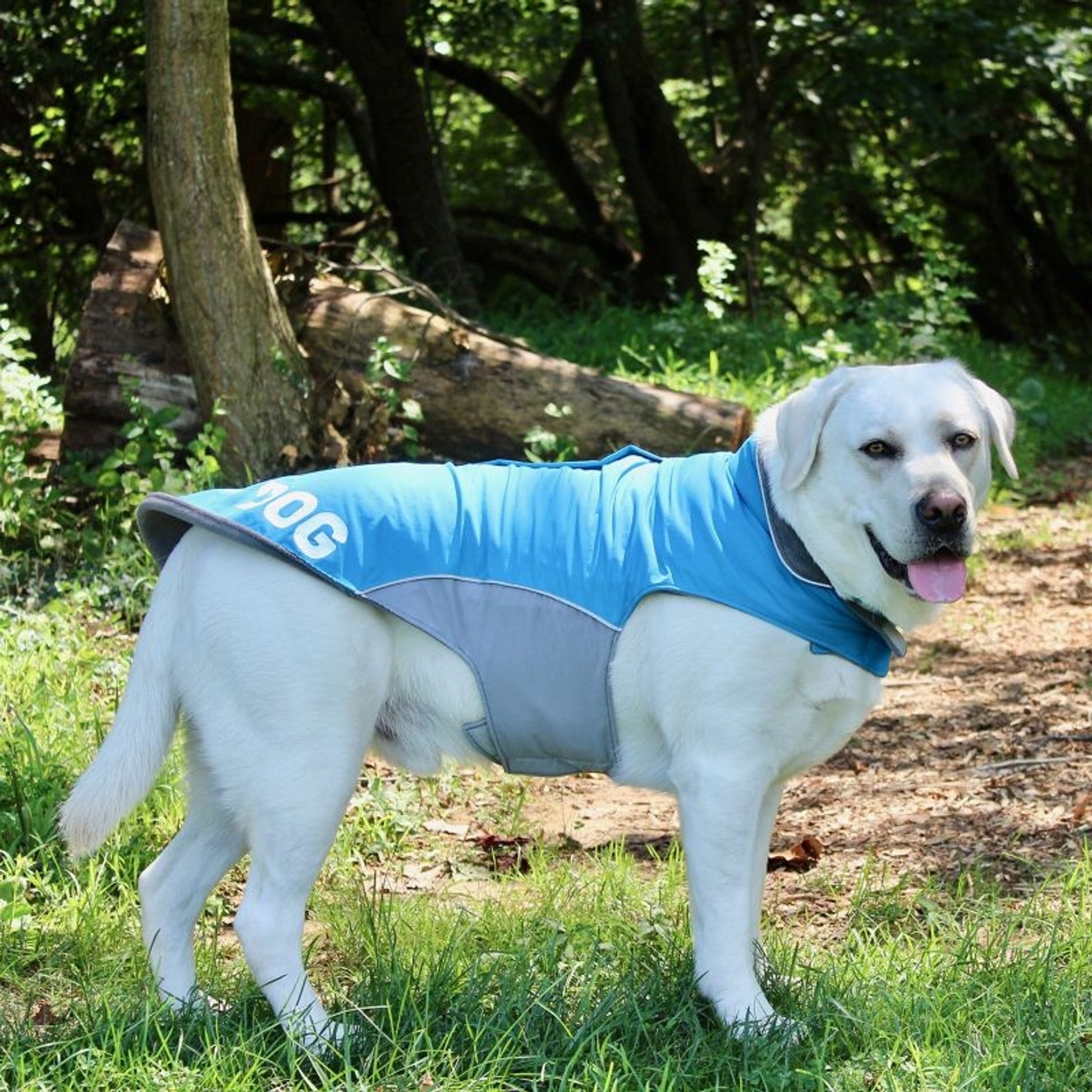 Baydog Saginaw Bay Fleece Dog Jacket