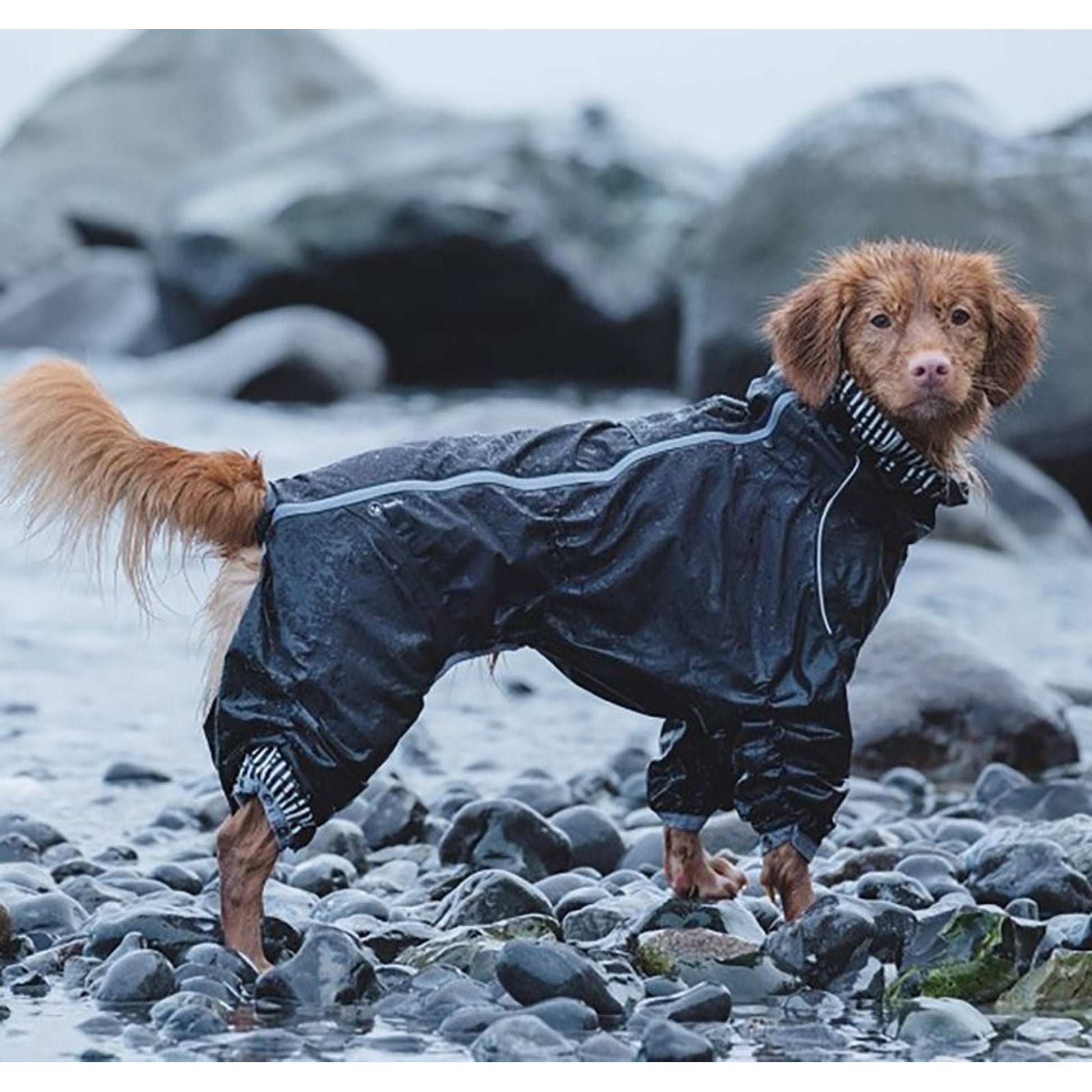 Hurtta Raven Downpour Dog Suit