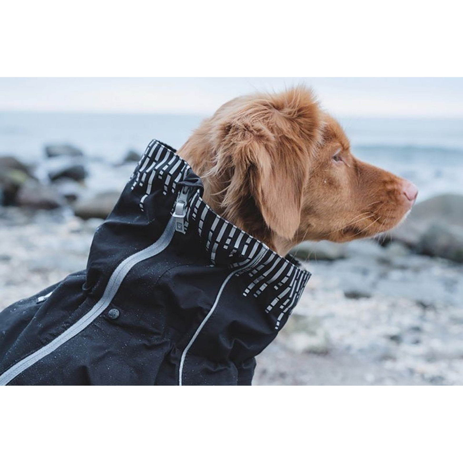 Hurtta Raven Downpour Dog Suit